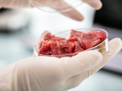 Na Slovensku chcú zakázať syntetické mäso