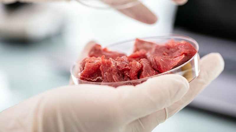 Na Slovensku chcú zakázať syntetické mäso