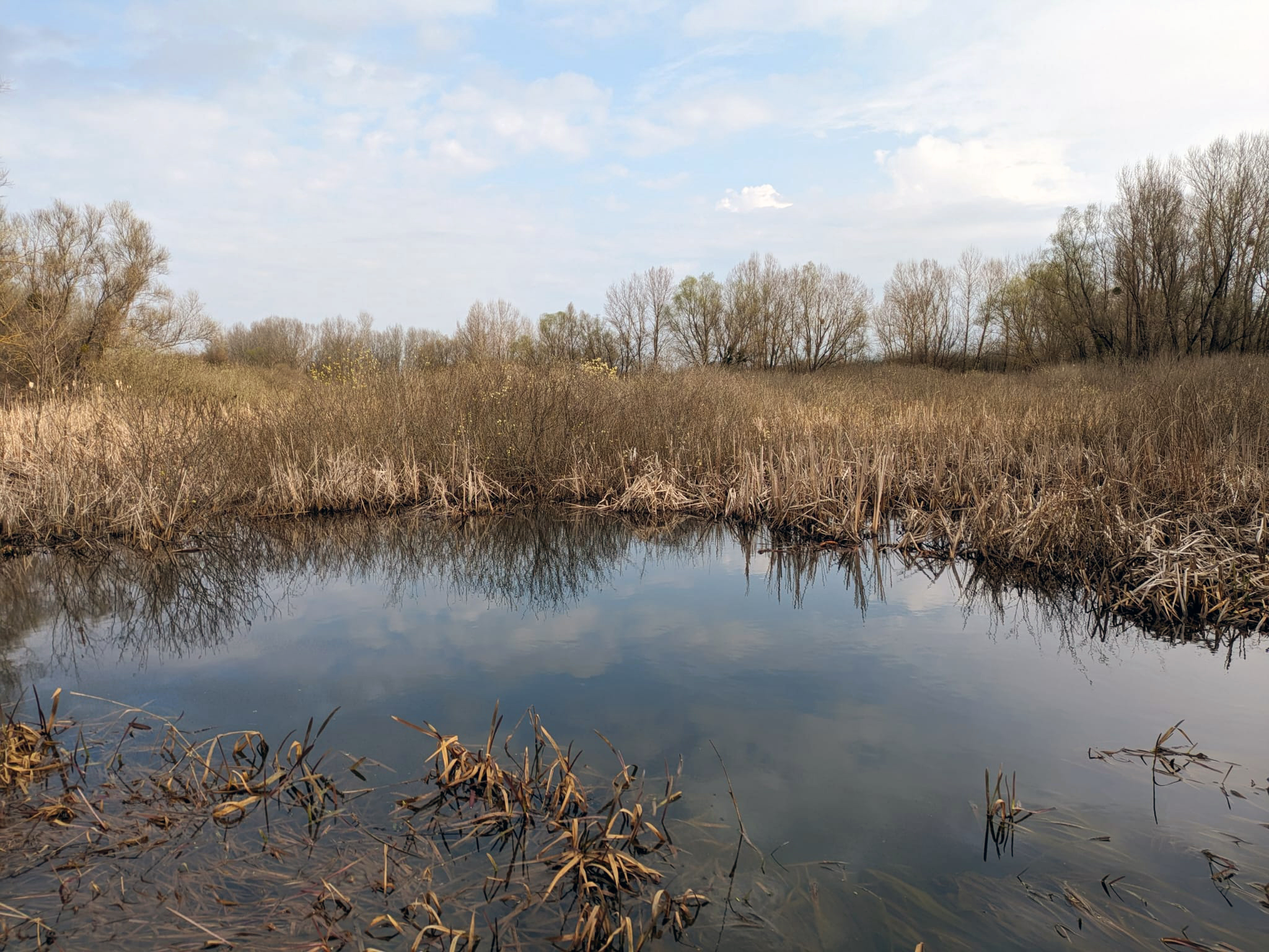 Na Zemplíne obnovujú mokrade