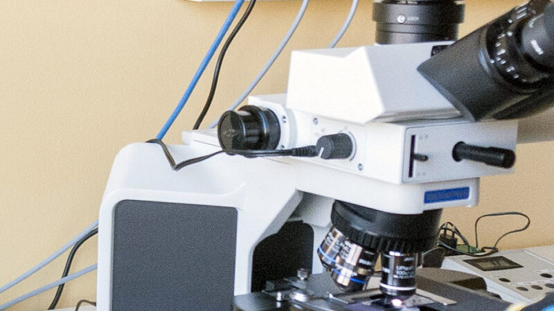 Slovenskí vedci vytvorili bioplast a môže sa aj zjesť